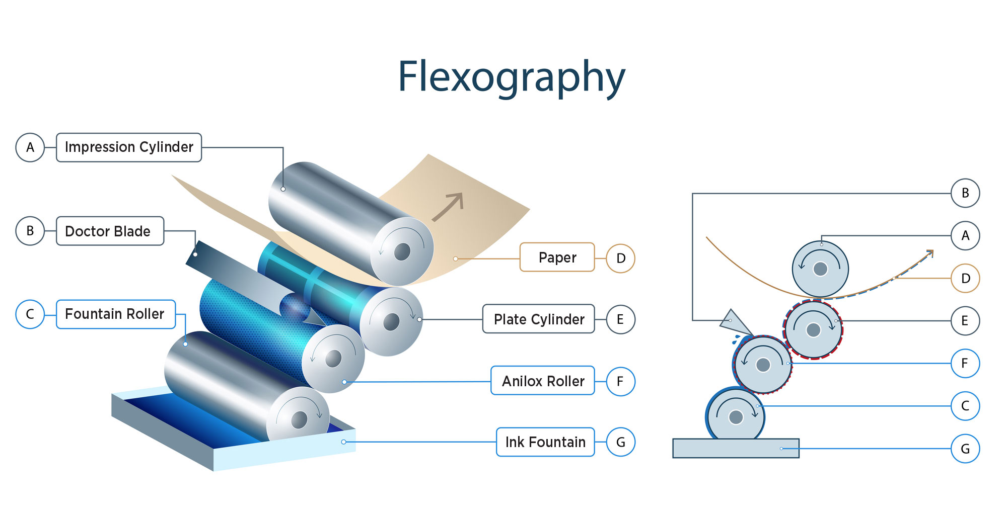 Flexography